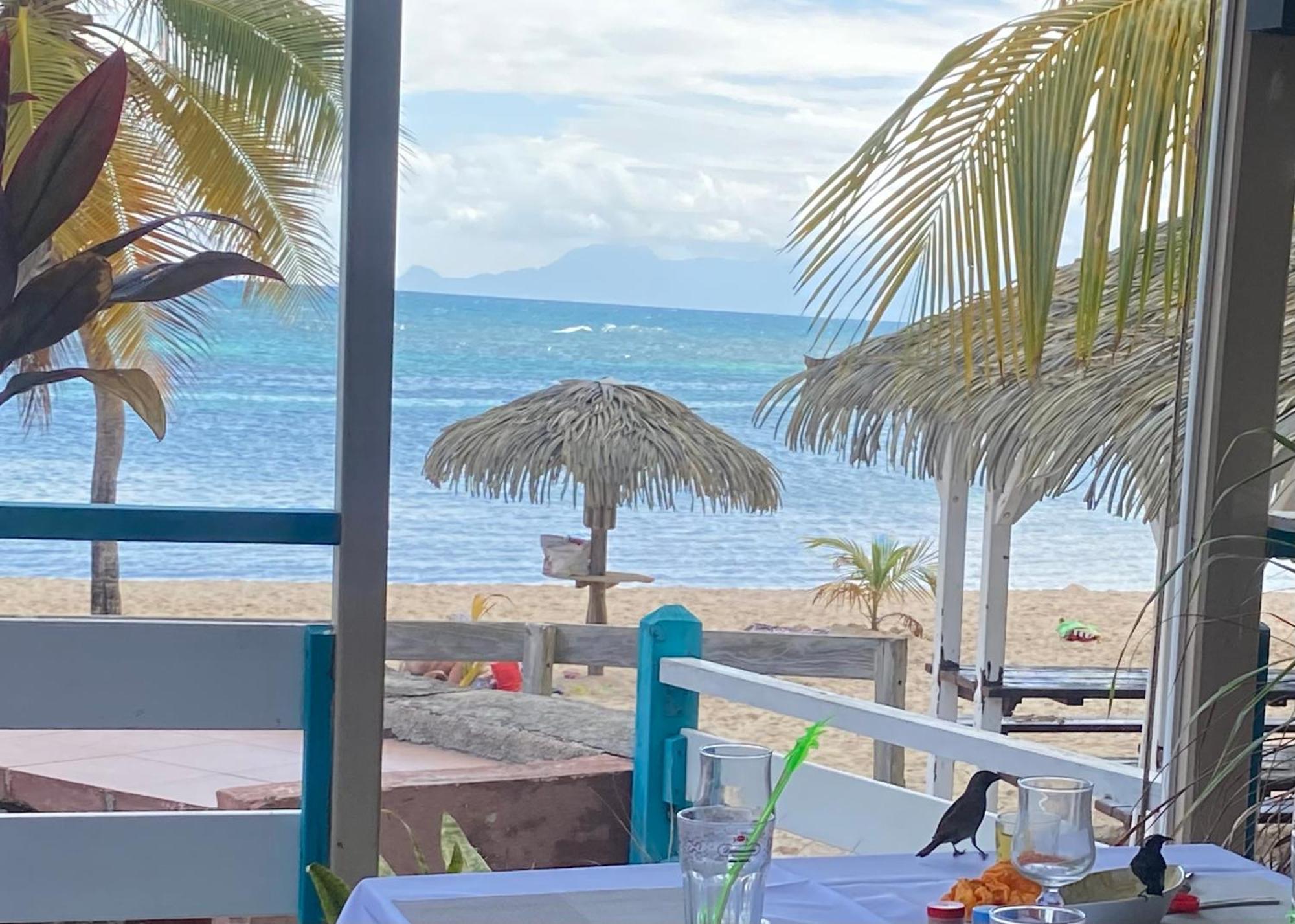 Le 35 Anse Des Rochers Saint-Francois Exterior foto